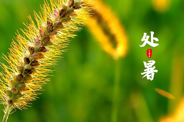 �ǿ�XK��(�й�)�������޹�˾