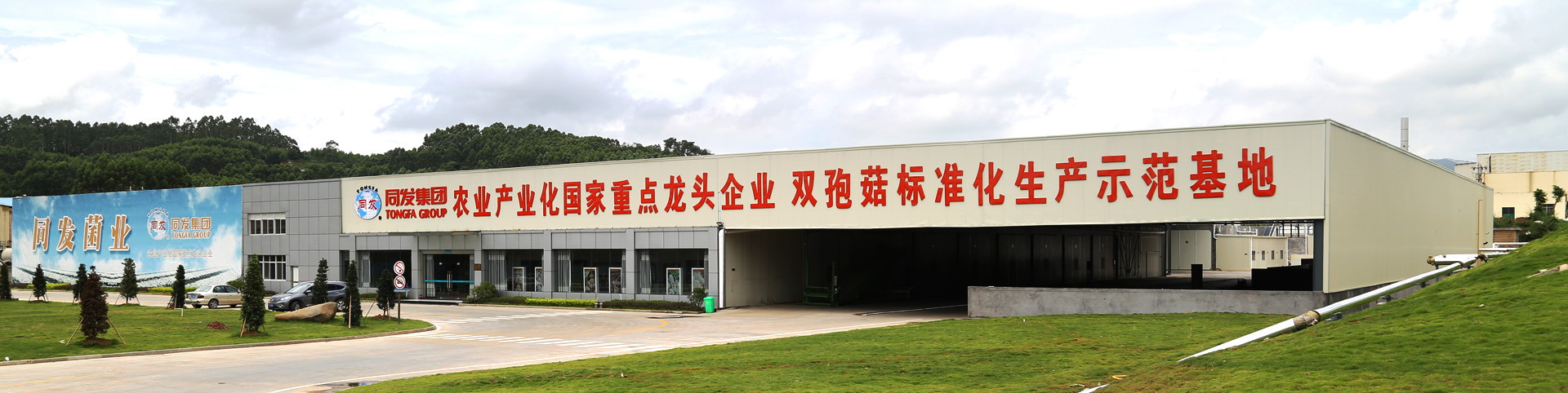 amjs澳金沙门线路(中国)有限公司-BinG百科